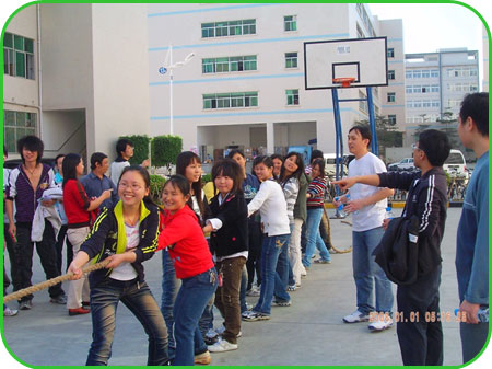 公司员工拔河比赛