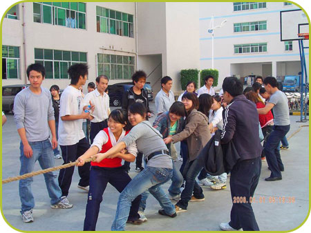 公司员工拔河比赛